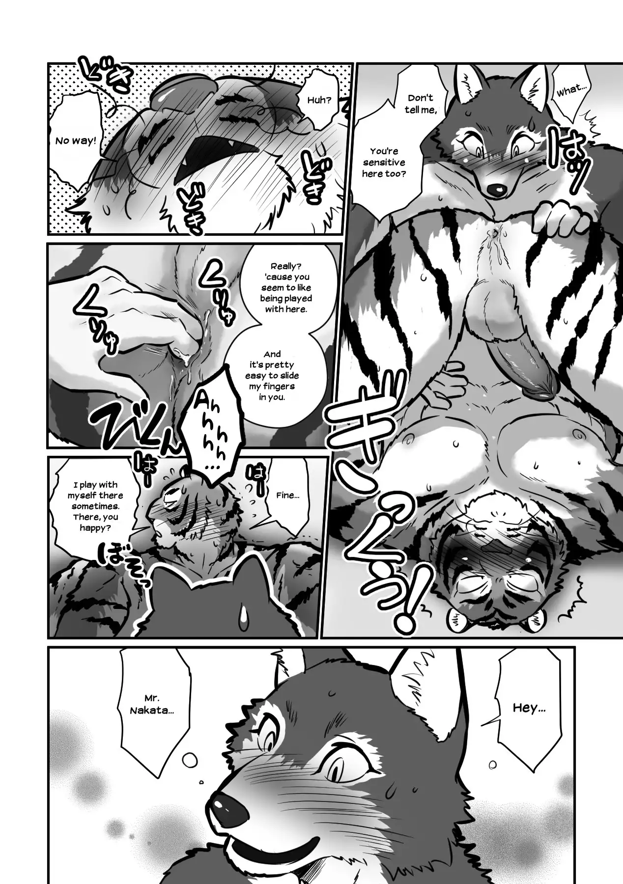 Wolf Teacher and Tiger Daddy 20