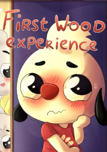 PlayKids 1 - The First Wood Experience Cover Art