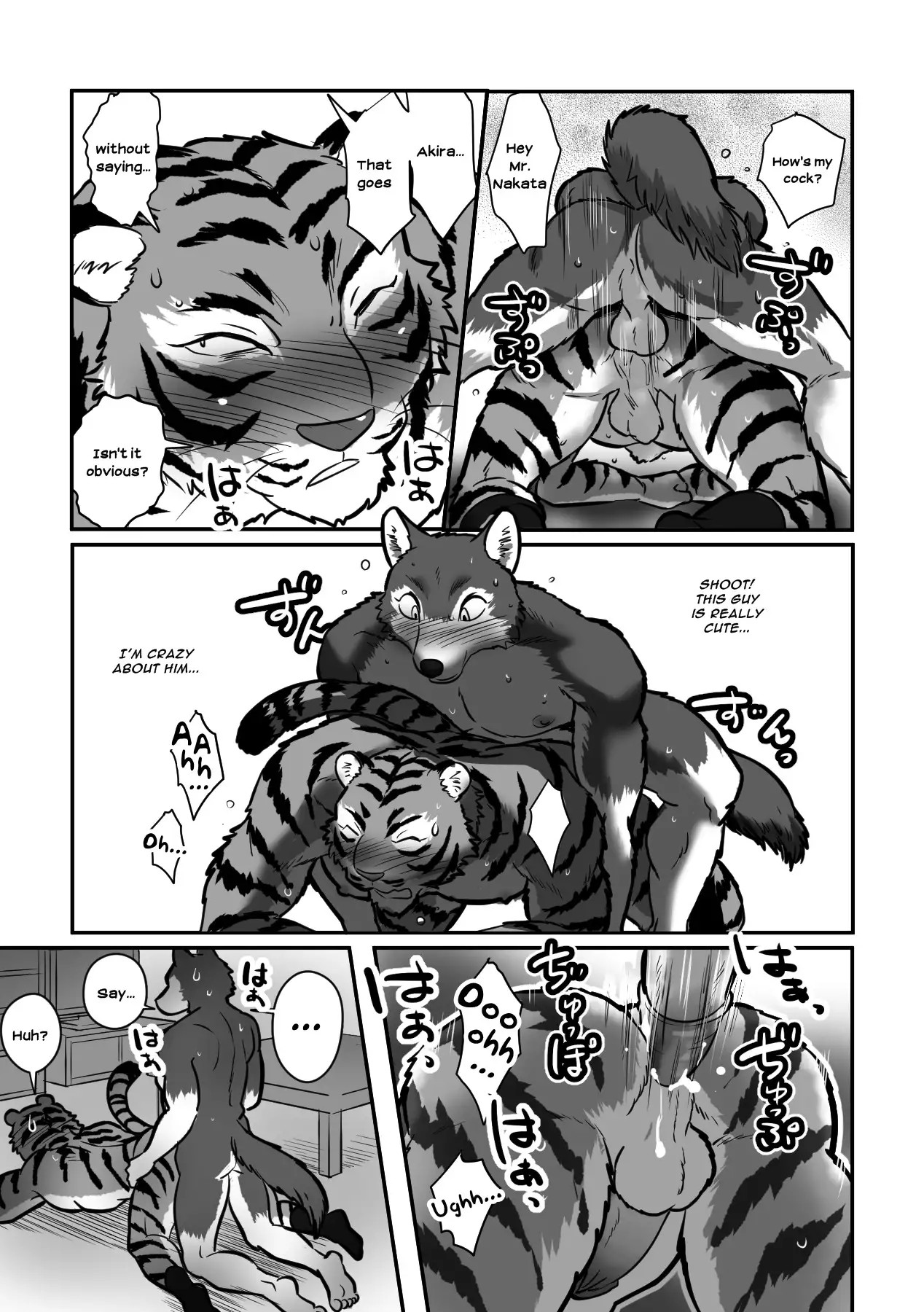 Wolf Teacher and Tiger Daddy 25