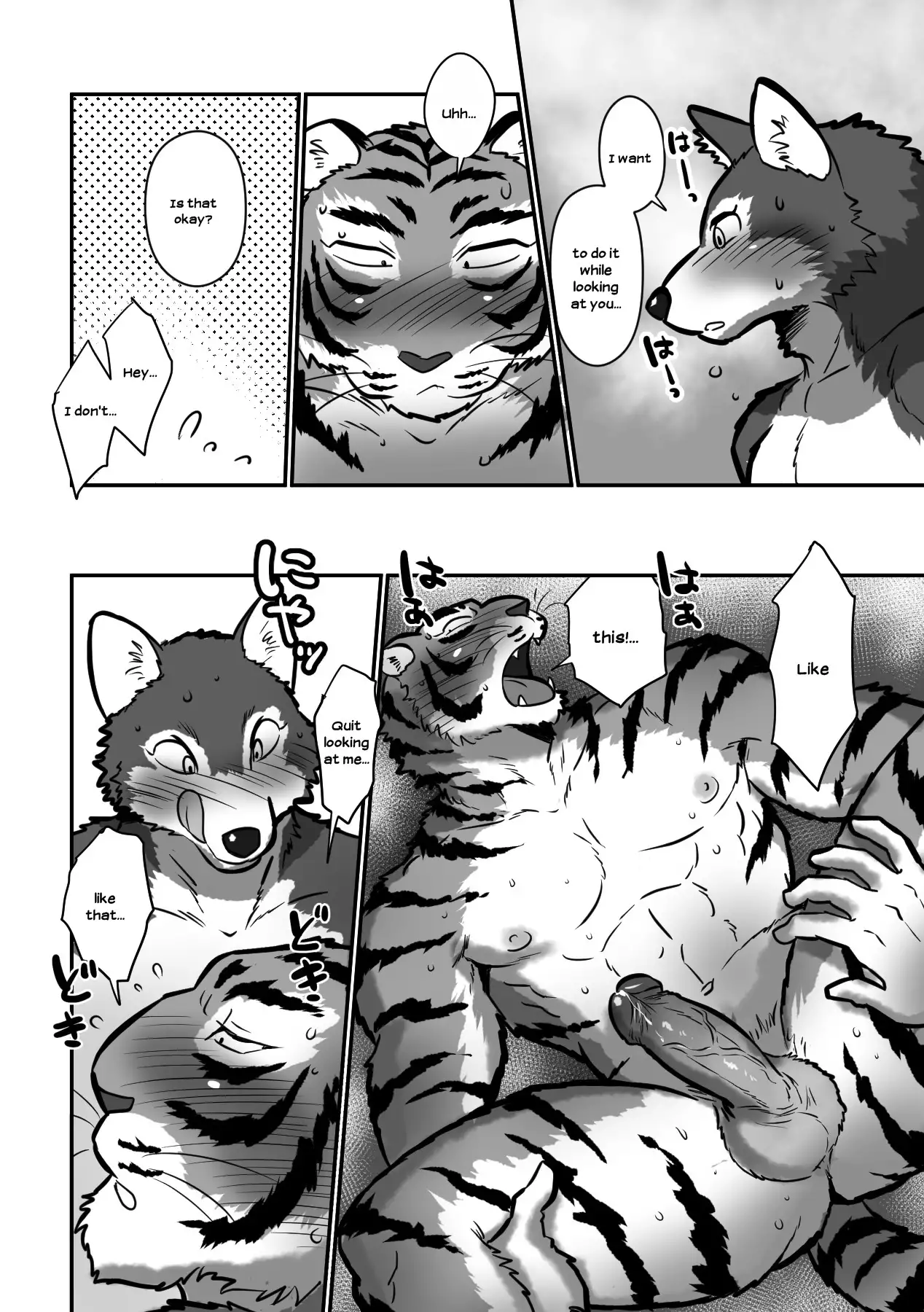 Wolf Teacher and Tiger Daddy 26