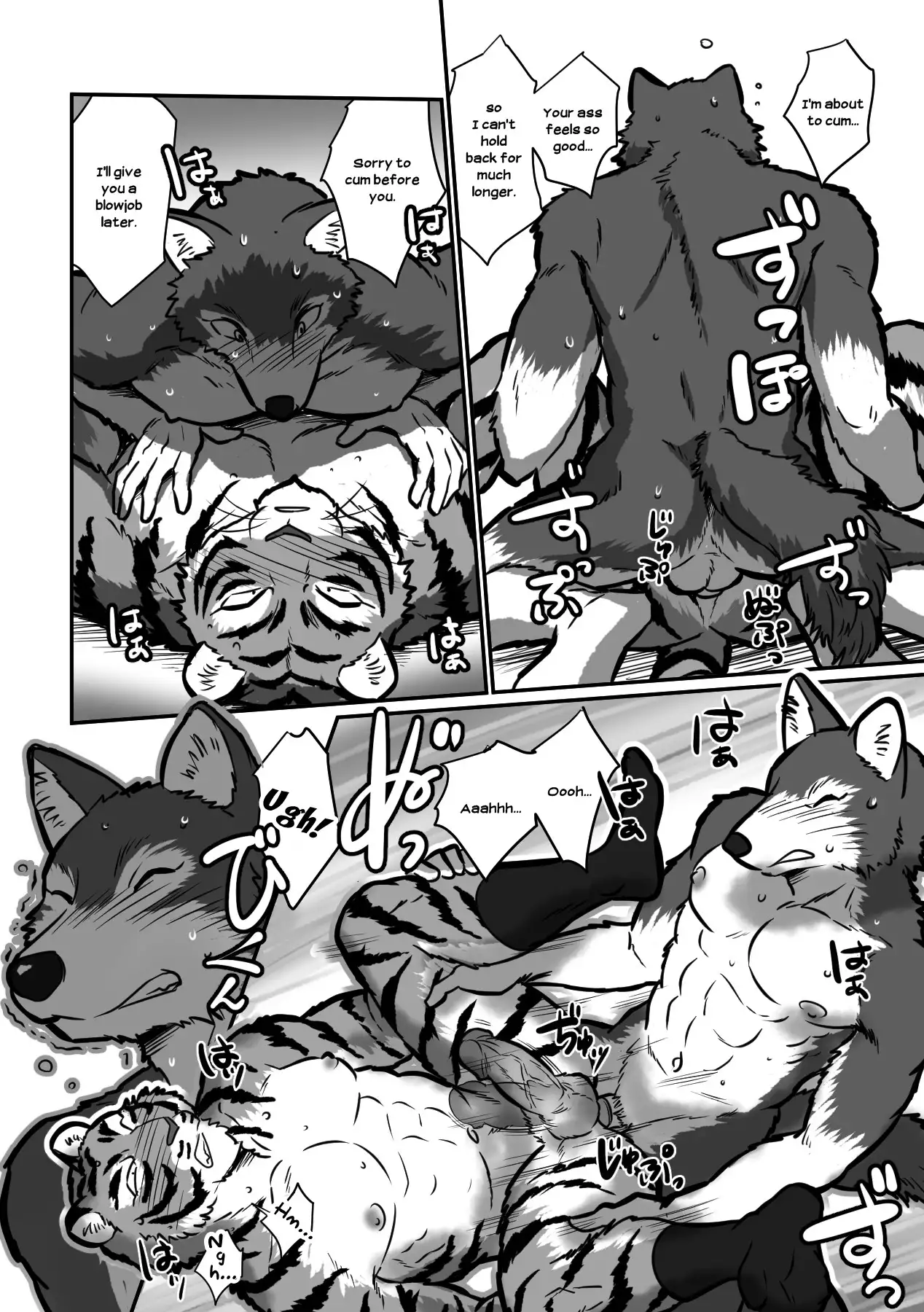 Wolf Teacher and Tiger Daddy 28